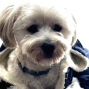 Profile photo of Rick Paynter