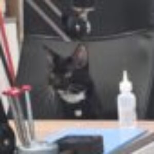 Profile photo of kai Knight