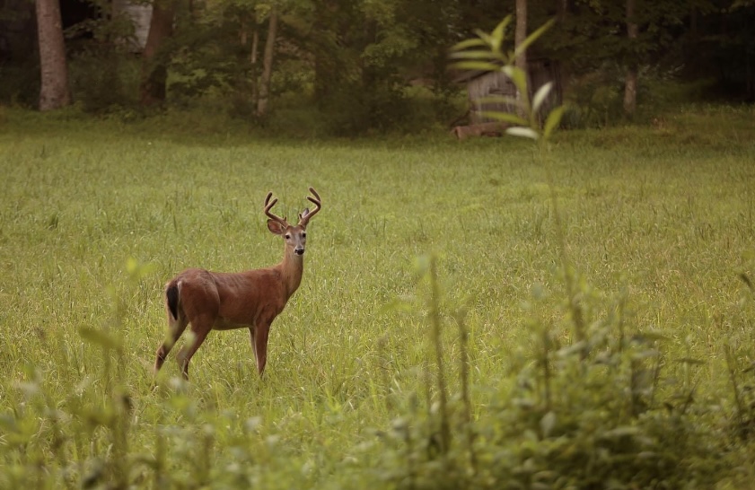 671985900a30b bp cover image